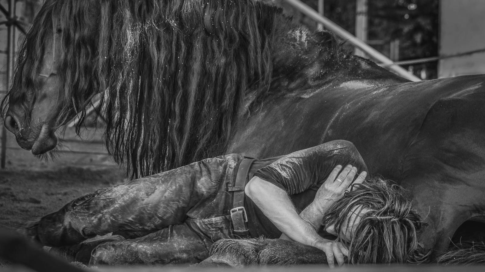 Ma bête noire © Alem Ramizovic